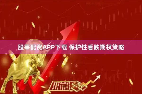 股莘配资APP下载 保护性看跌期权策略