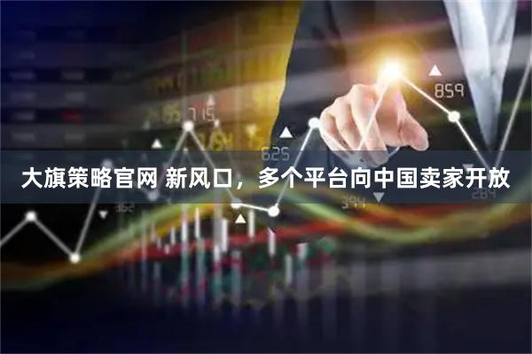 大旗策略官网 新风口，多个平台向中国卖家开放