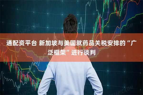 通配资平台 新加坡与美国就药品关税安排的“广泛框架”进行谈判