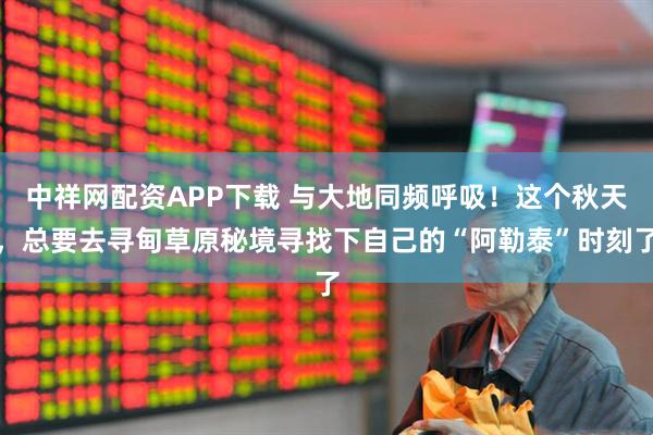 中祥网配资APP下载 与大地同频呼吸！这个秋天，总要去寻甸草原秘境寻找下自己的“阿勒泰”时刻了