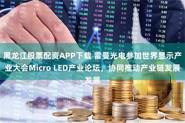 黑龙江股票配资APP下载 雷曼光电参加世界显示产业大会Micro LED产业论坛，协同推动产业链发展