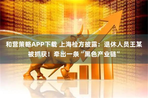 和营策略APP下载 上海检方披露：退休人员王某被抓获！牵出一条“黑色产业链”