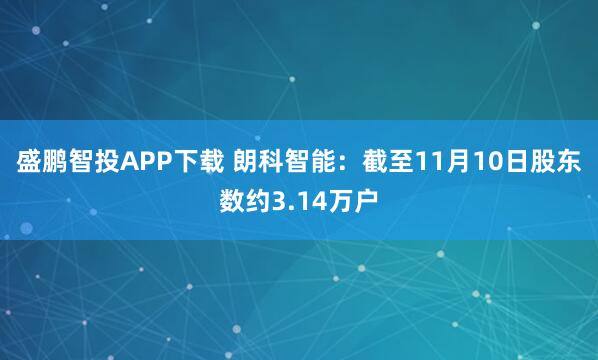 盛鹏智投APP下载 朗科智能：截至11月10日股东数约3.14万户