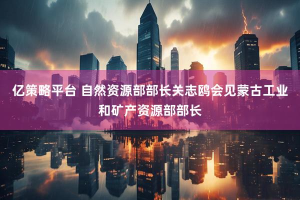 亿策略平台 自然资源部部长关志鸥会见蒙古工业和矿产资源部部长