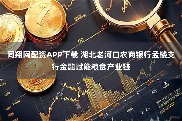 同翔网配资APP下载 湖北老河口农商银行孟楼支行金融赋能粮食产业链