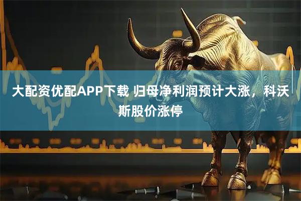 大配资优配APP下载 归母净利润预计大涨，科沃斯股价涨停