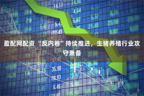 盈配网配资 “反内卷”持续推进，生猪养殖行业攻守兼备