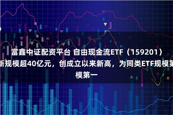 富鑫中证配资平台 自由现金流ETF（159201）最新规模超40亿元，创成立以来新高，为同类ETF规模第一